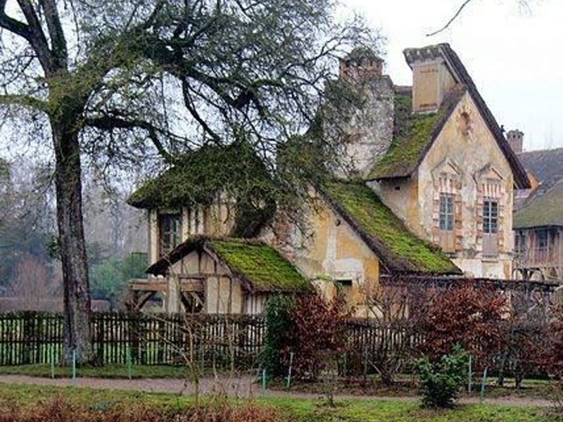 Nettoyage et Rénovation d'une Toiture