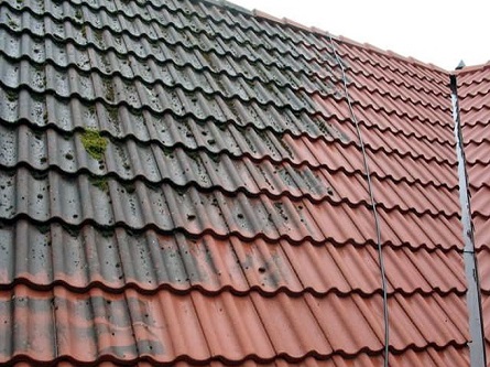 Nettoyage et démoussage en cours